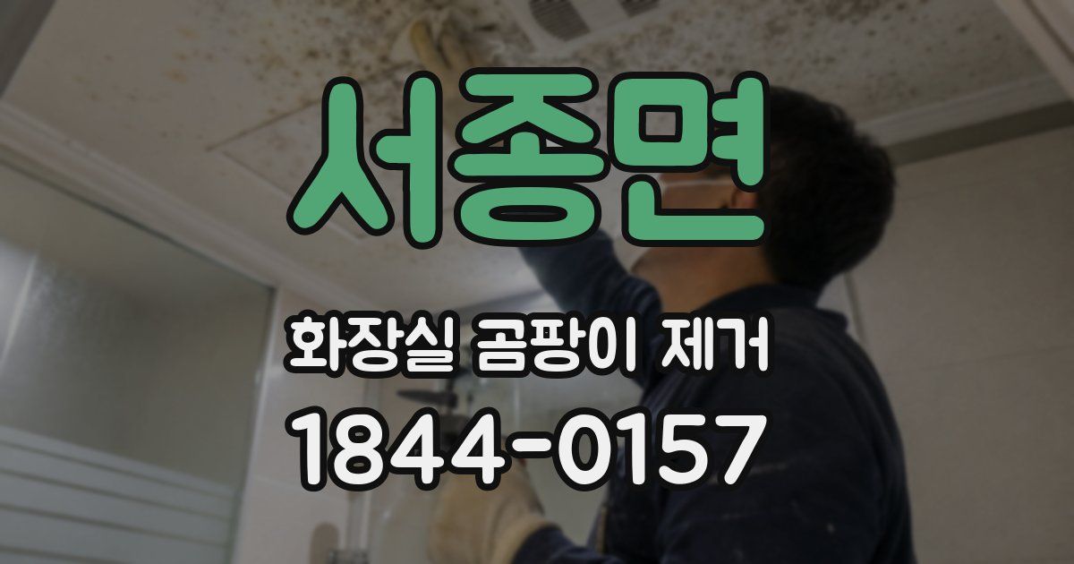 서종면 화장실 곰팡이 제거