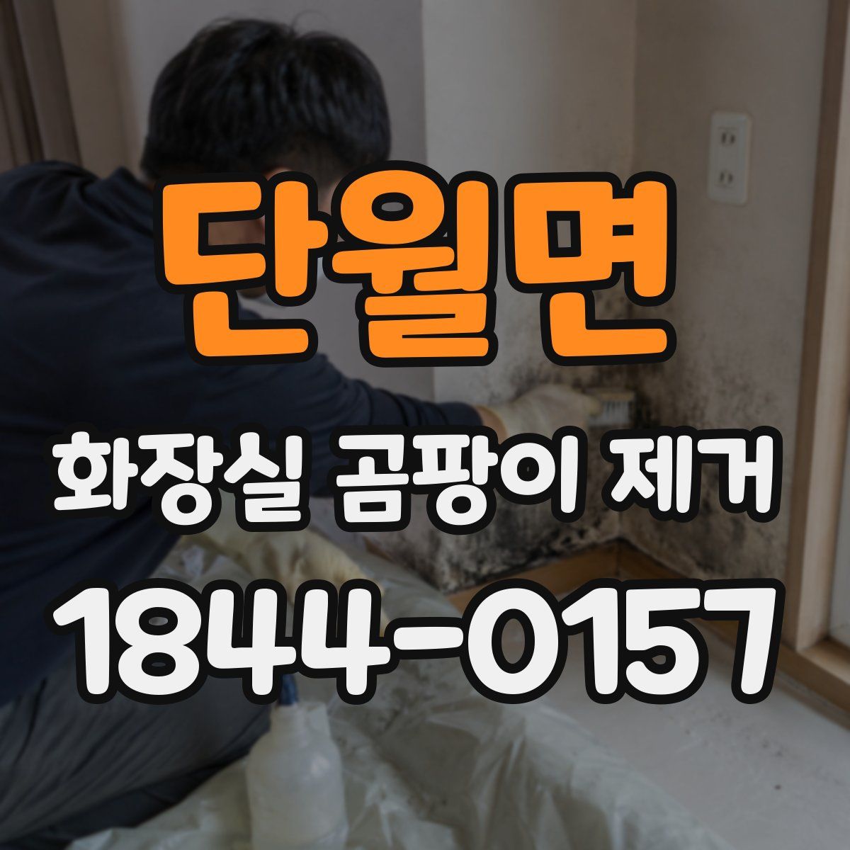 단월면 화장실 곰팡이 제거