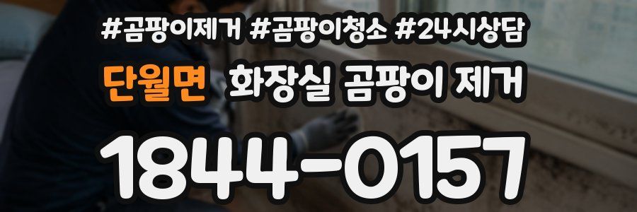 단월면 화장실 곰팡이 제거