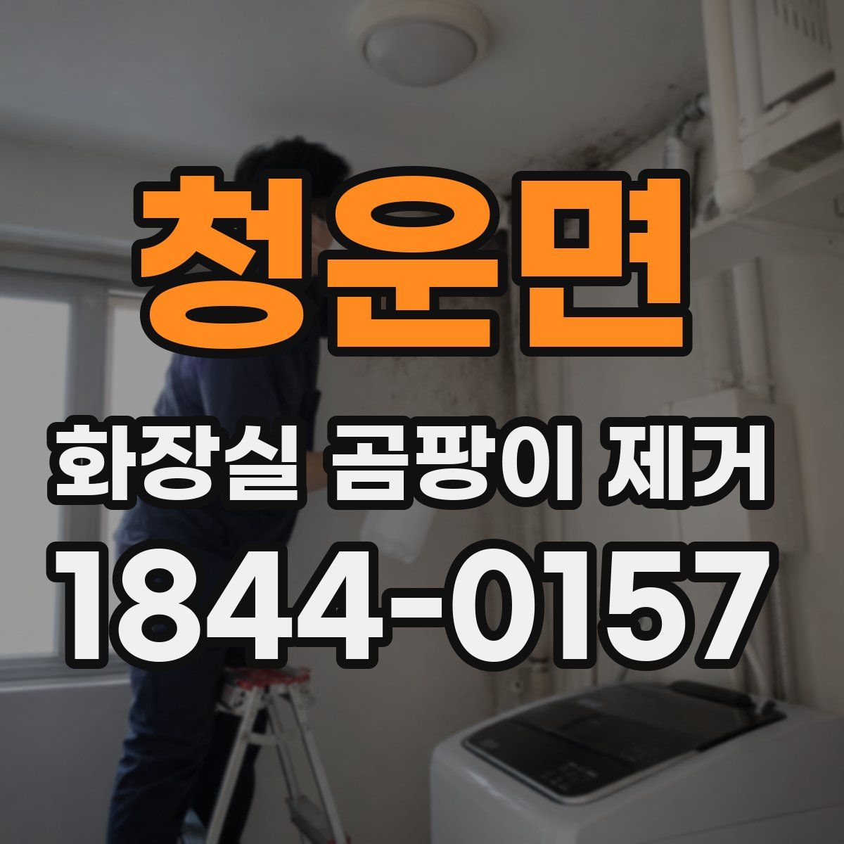 청운면 화장실 곰팡이 제거