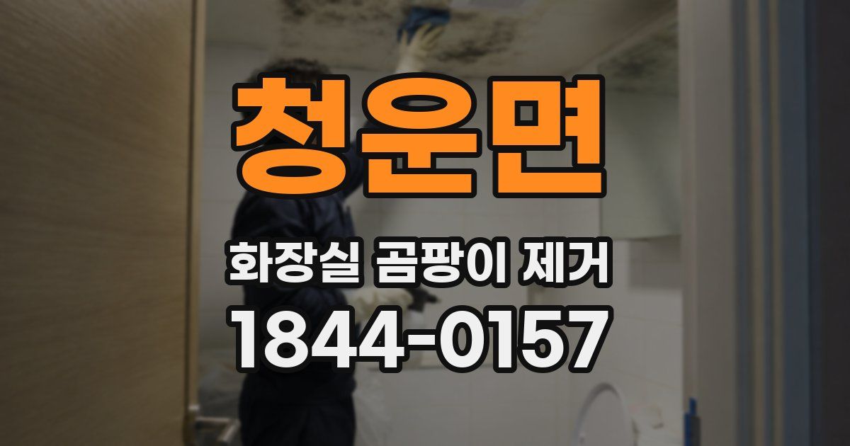 청운면 화장실 곰팡이 제거