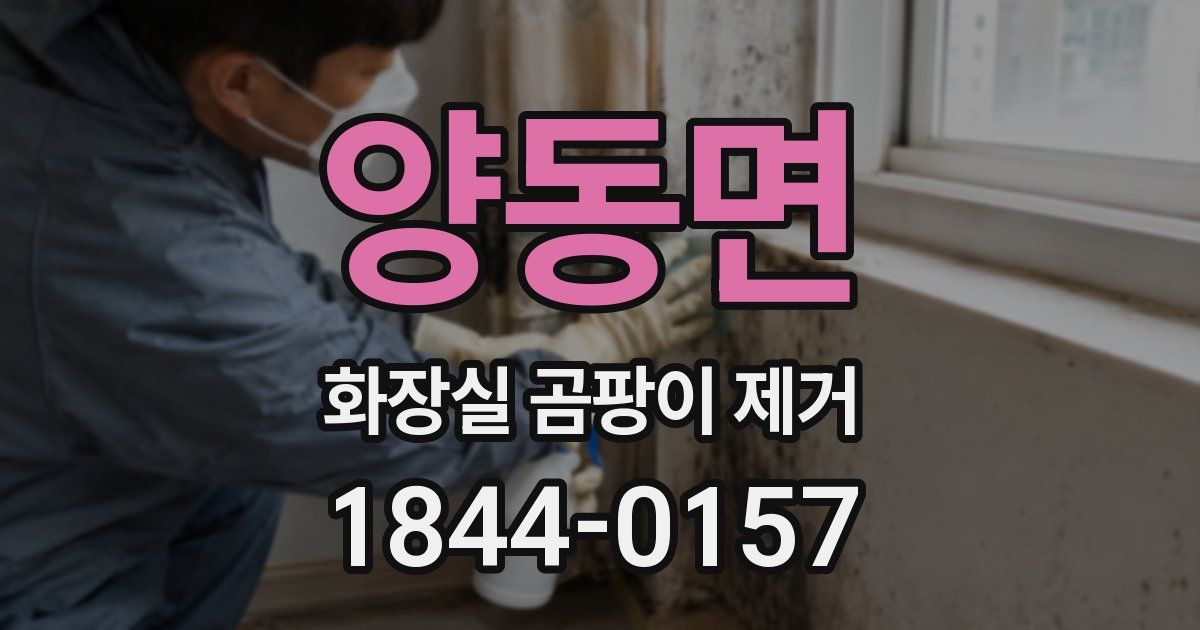 양동면 화장실 곰팡이 제거