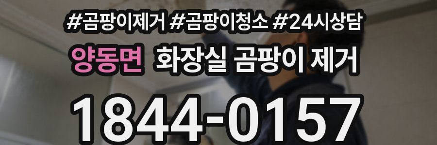 양동면 화장실 곰팡이 제거