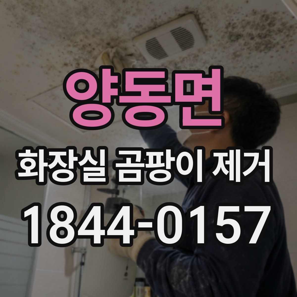 양동면 화장실 곰팡이 제거