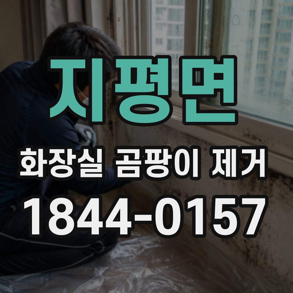 지평면 화장실 곰팡이 제거