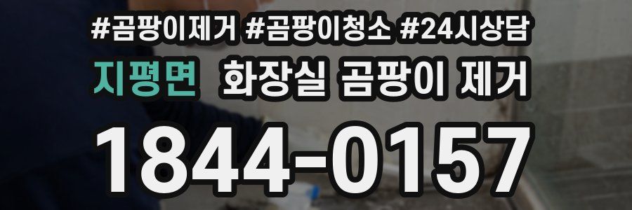 지평면 화장실 곰팡이 제거