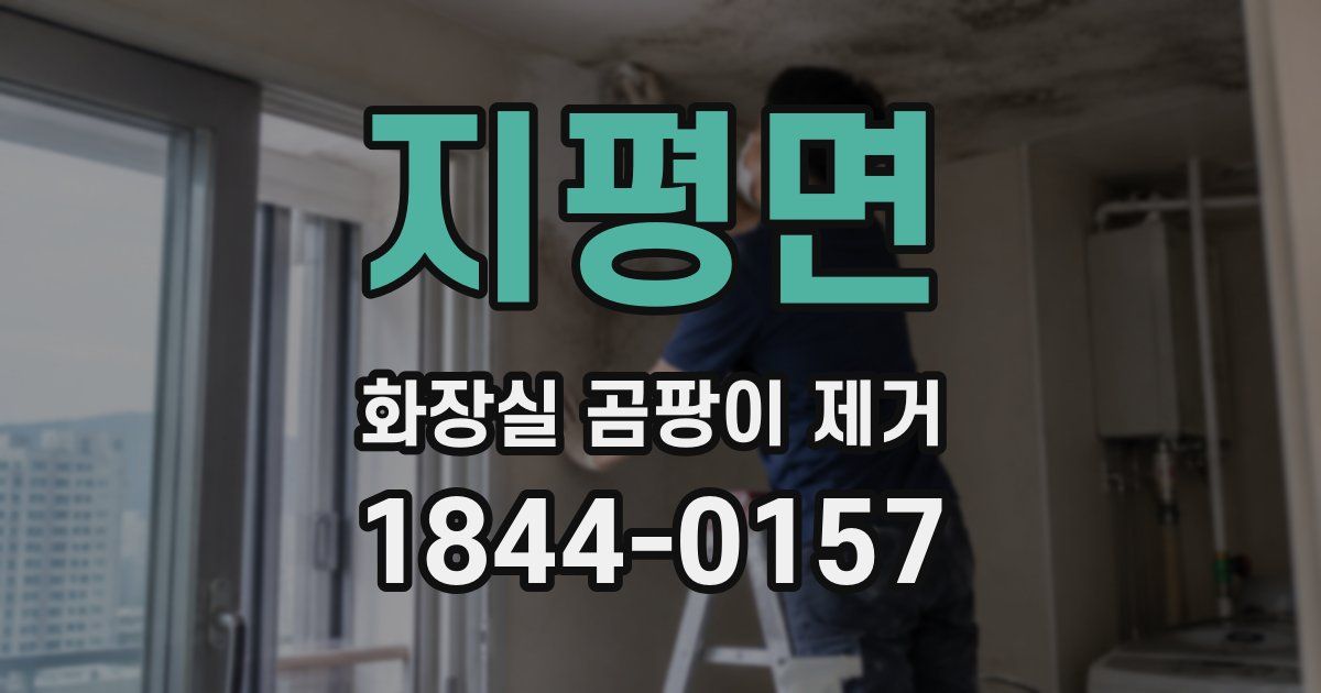 지평면 화장실 곰팡이 제거