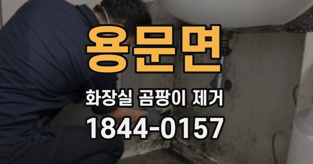 용문면 화장실 곰팡이 제거