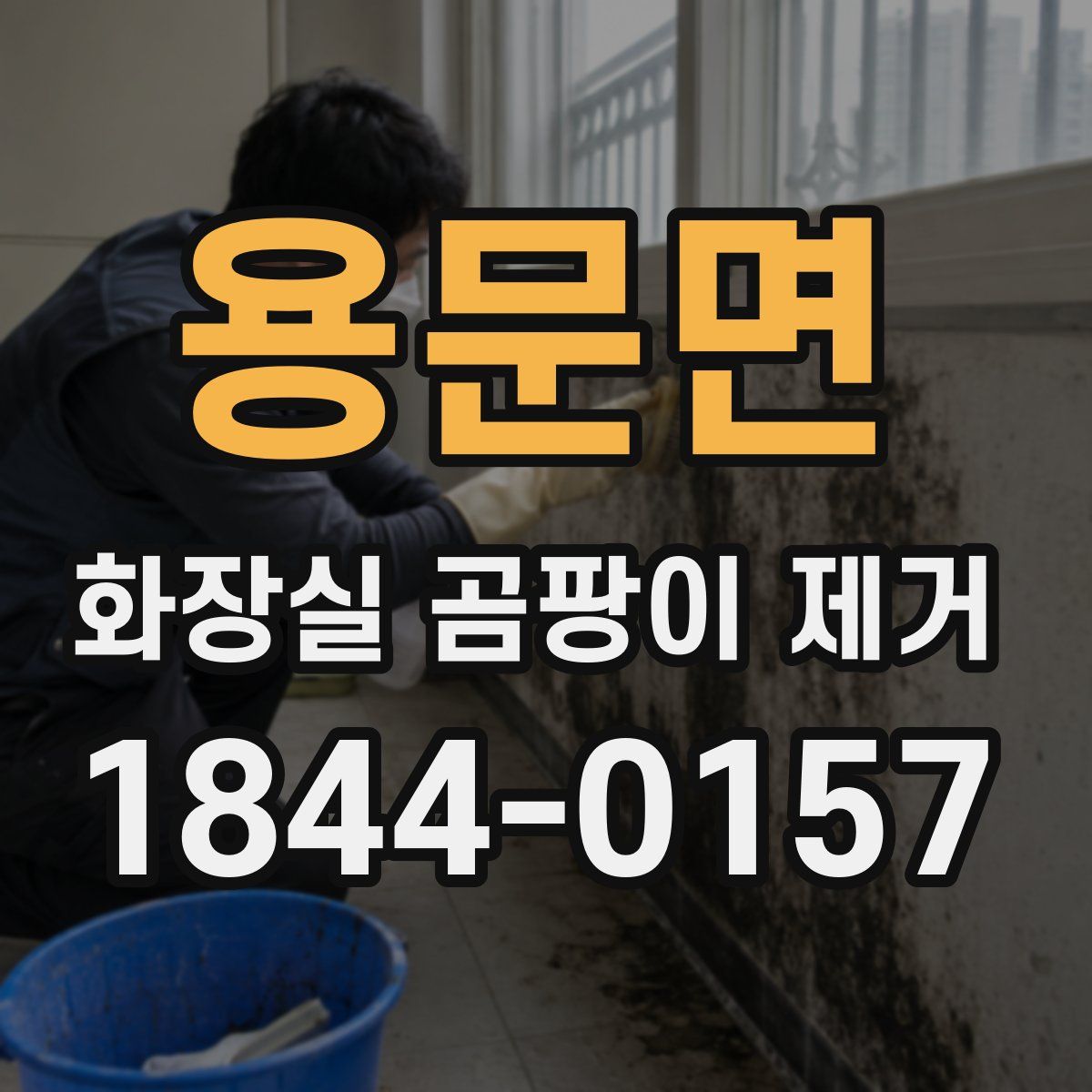 용문면 화장실 곰팡이 제거