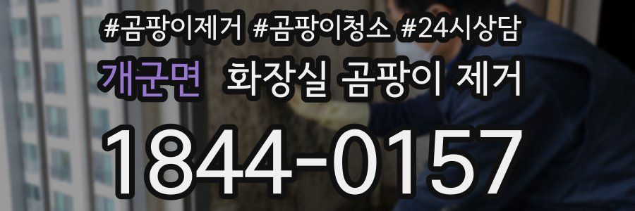 개군면 화장실 곰팡이 제거