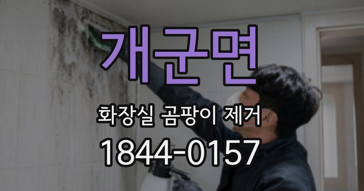 개군면 화장실 곰팡이 제거