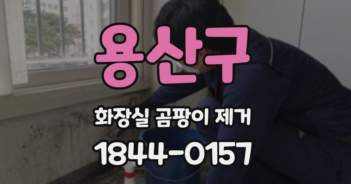 용산구 화장실 곰팡이 제거