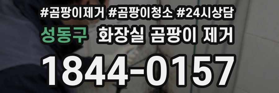 성동구 화장실 곰팡이 제거