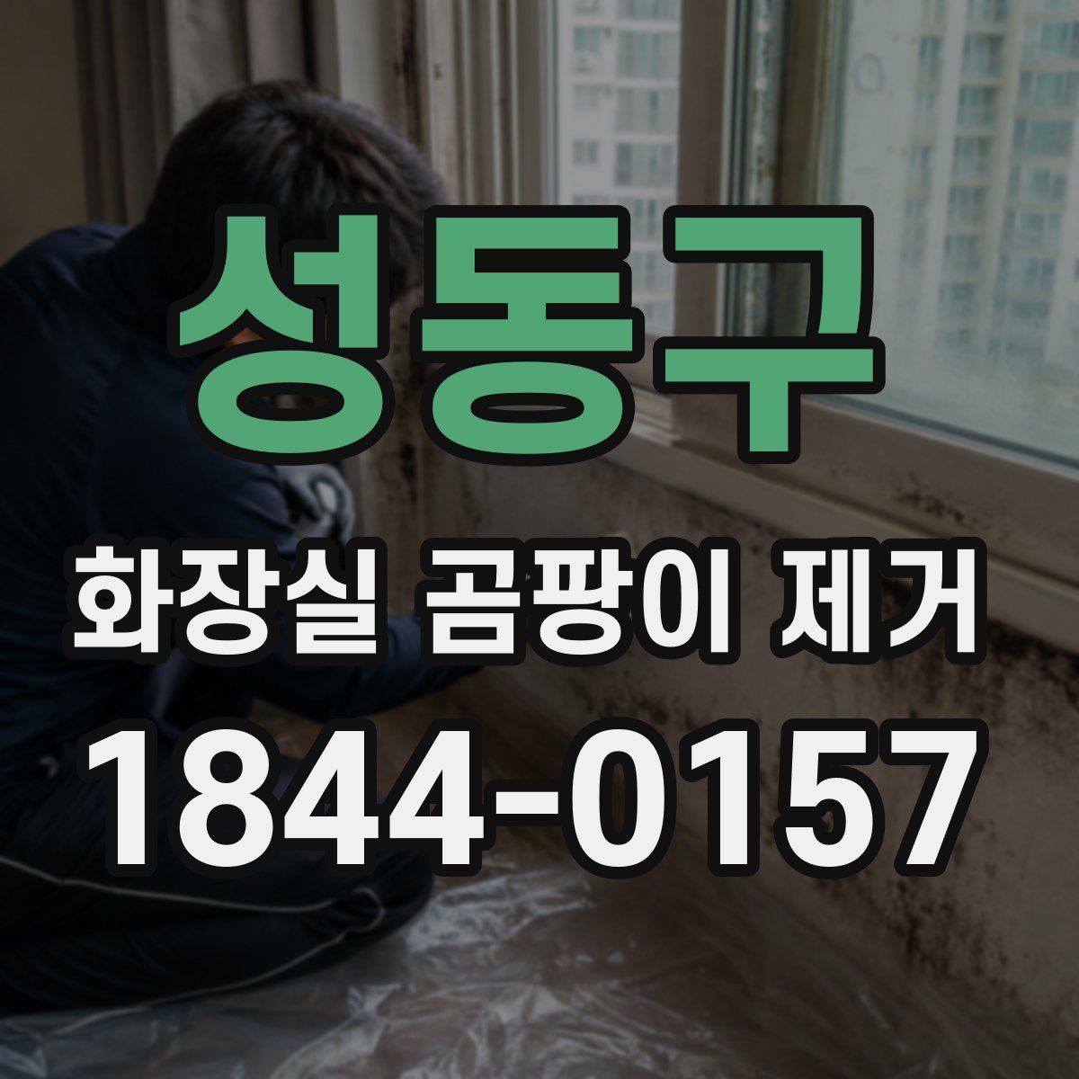 성동구 화장실 곰팡이 제거