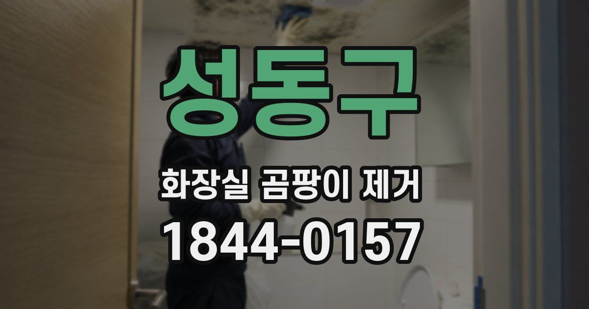 성동구 화장실 곰팡이 제거