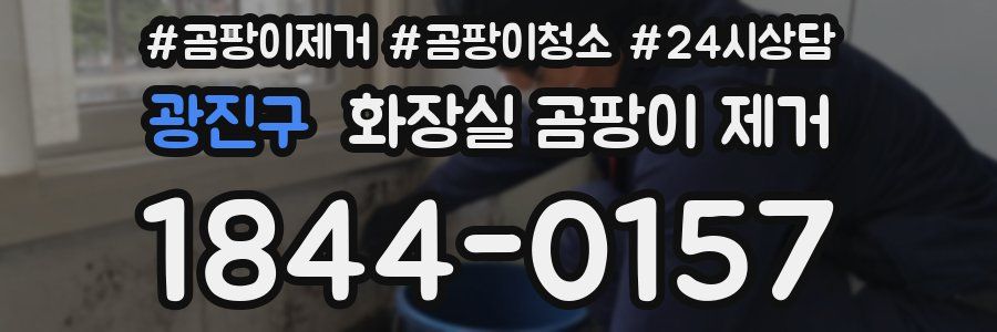 광진구 화장실 곰팡이 제거