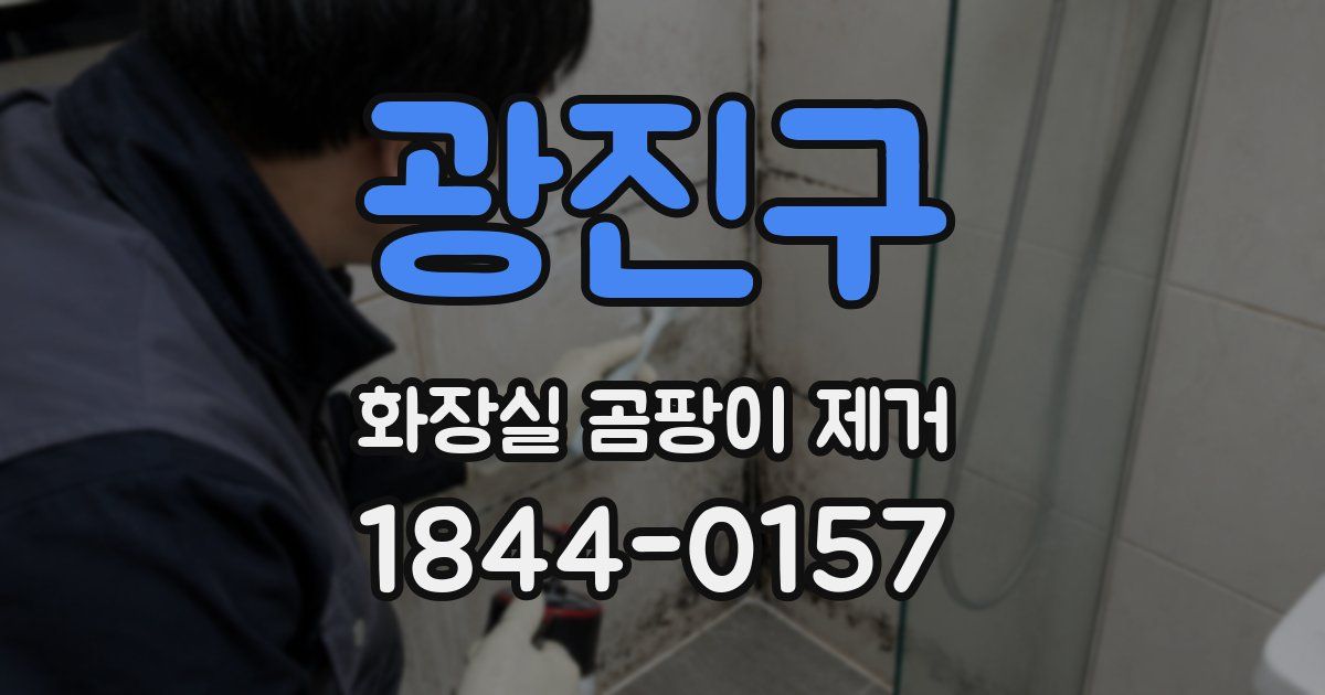 광진구 화장실 곰팡이 제거