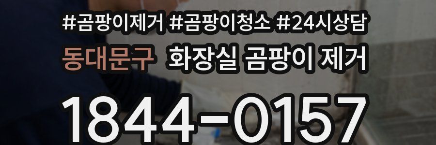 동대문구 화장실 곰팡이 제거