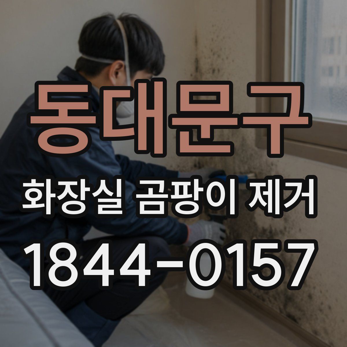 동대문구 화장실 곰팡이 제거