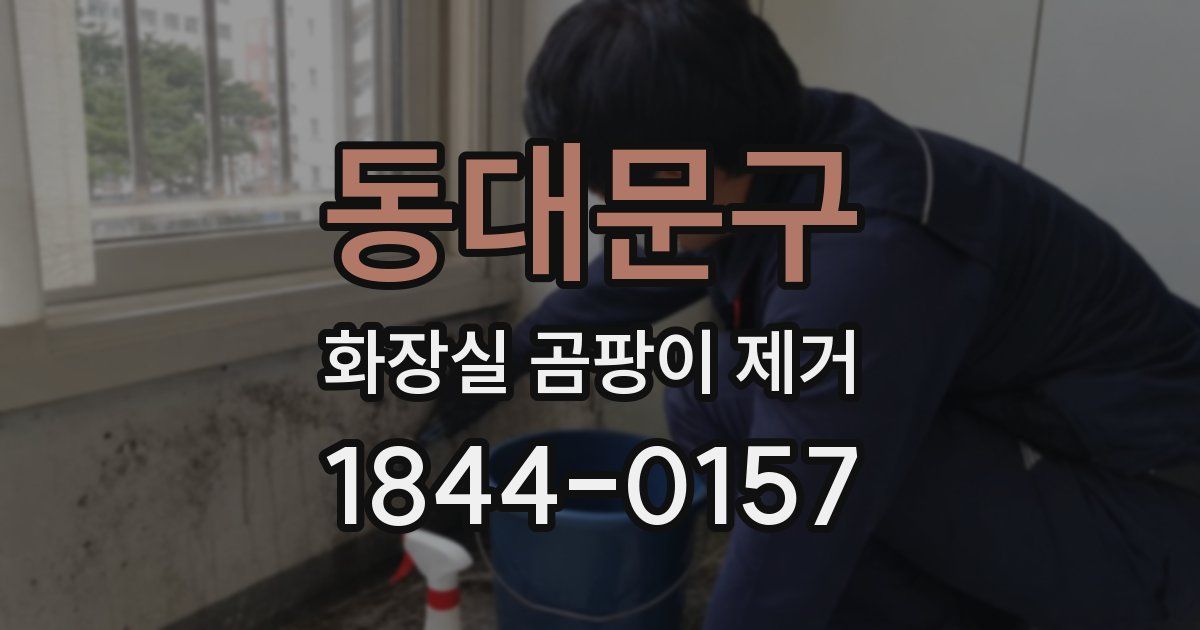 동대문구 화장실 곰팡이 제거