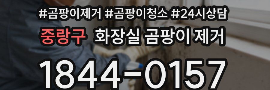 중랑구 화장실 곰팡이 제거