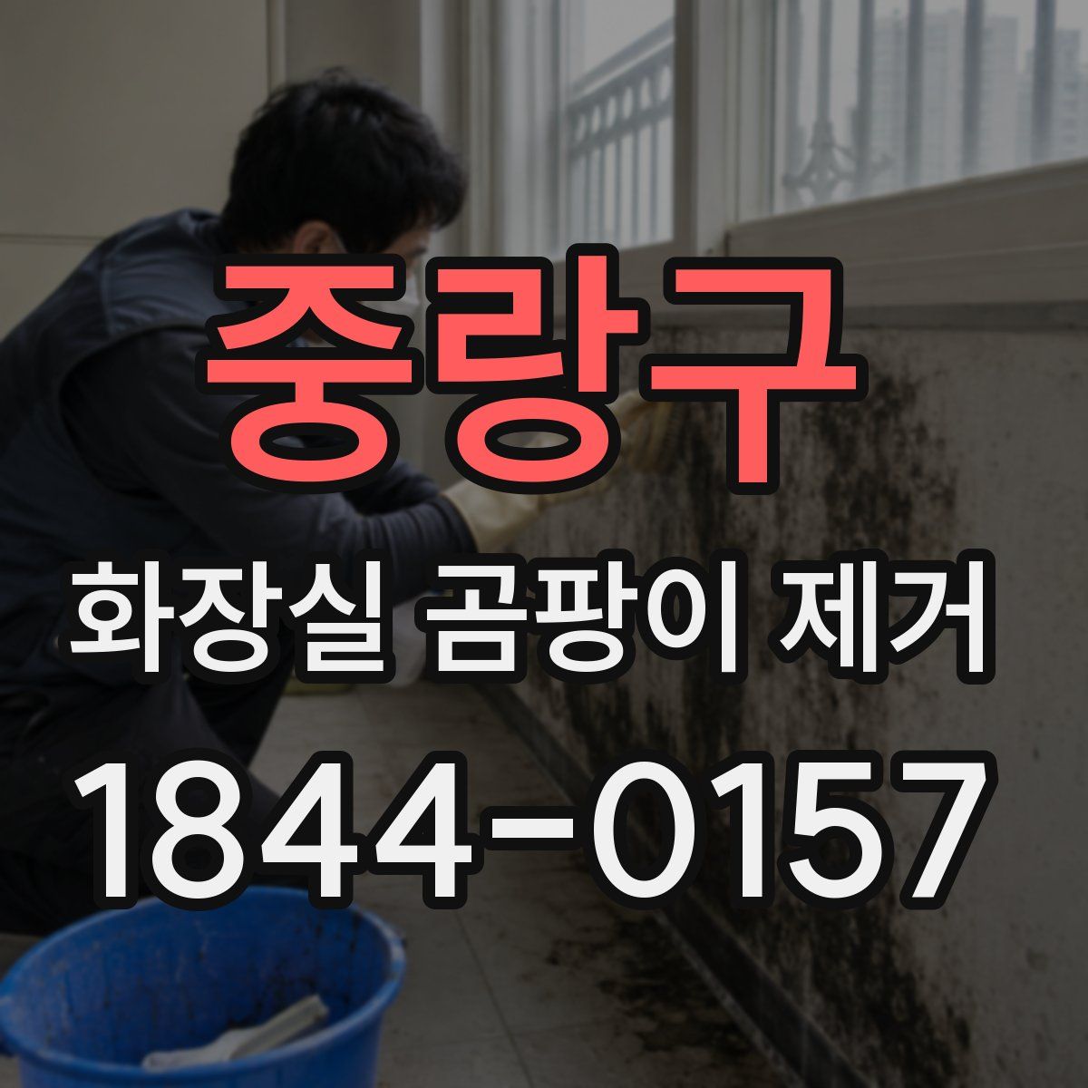 중랑구 화장실 곰팡이 제거