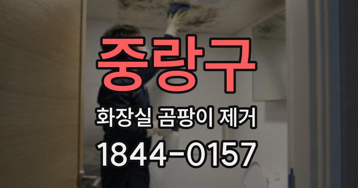중랑구 화장실 곰팡이 제거
