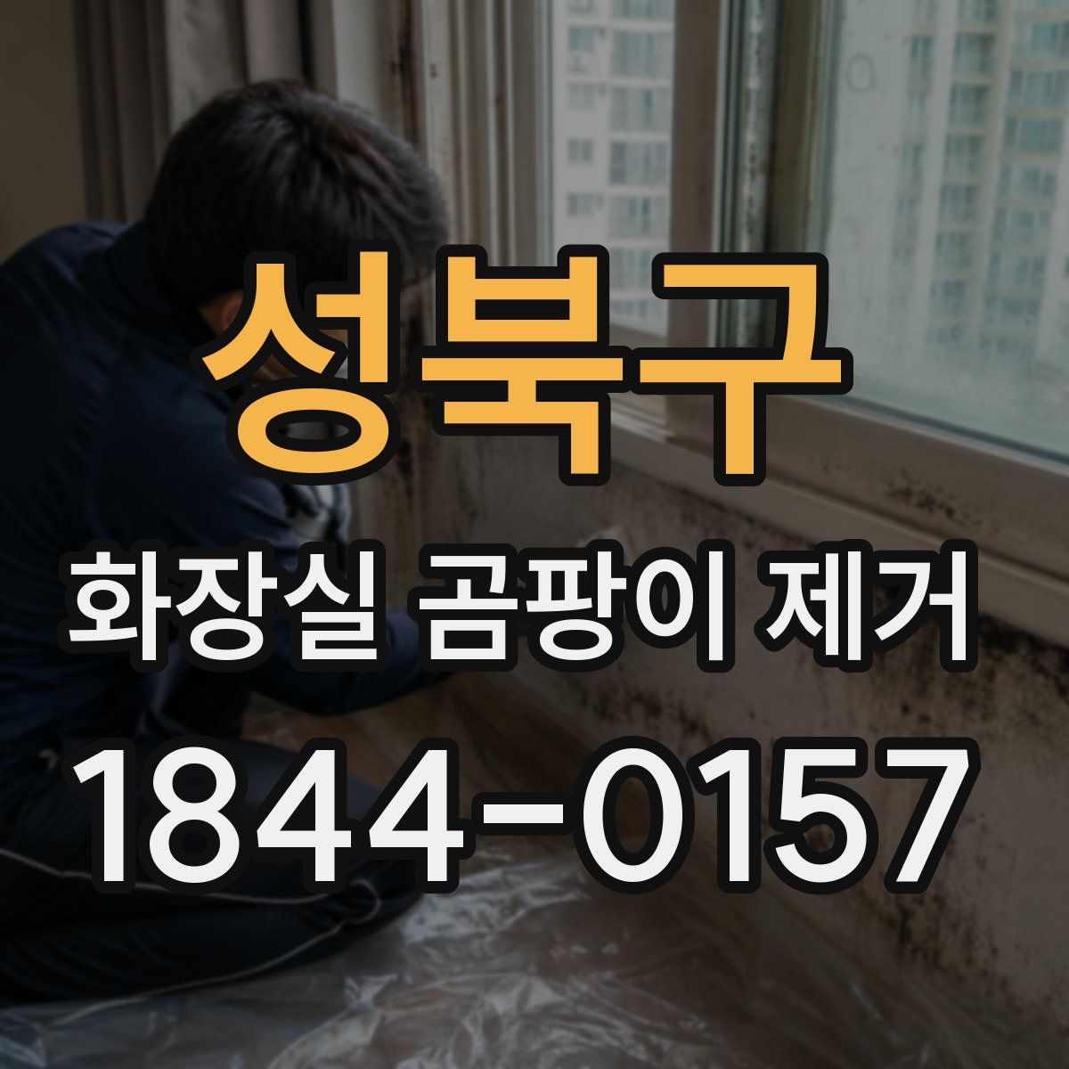 성북구 화장실 곰팡이 제거