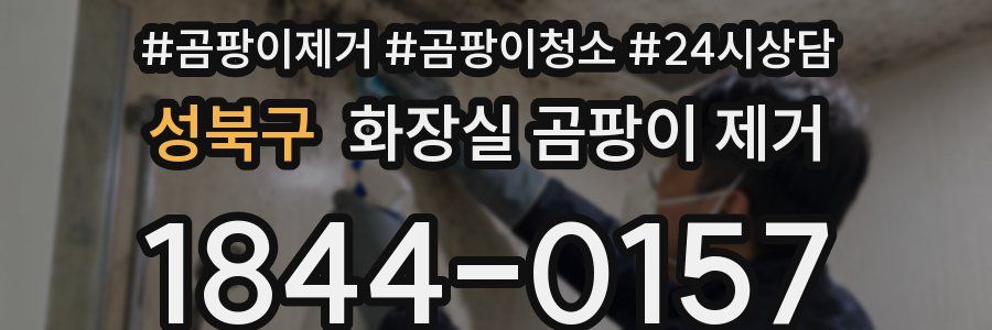 성북구 화장실 곰팡이 제거