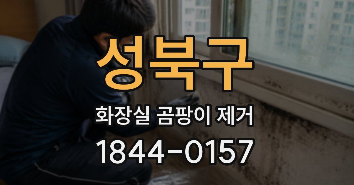 성북구 화장실 곰팡이 제거