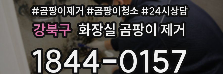 강북구 화장실 곰팡이 제거