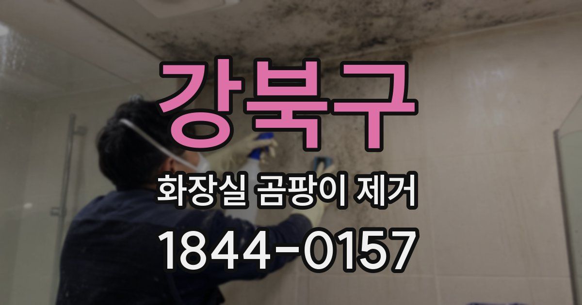 강북구 화장실 곰팡이 제거