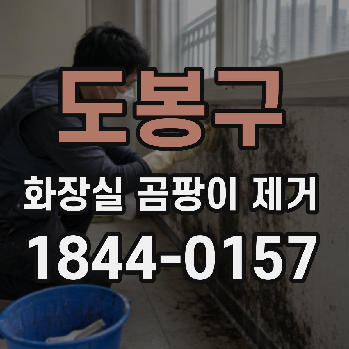 도봉구 화장실 곰팡이 제거