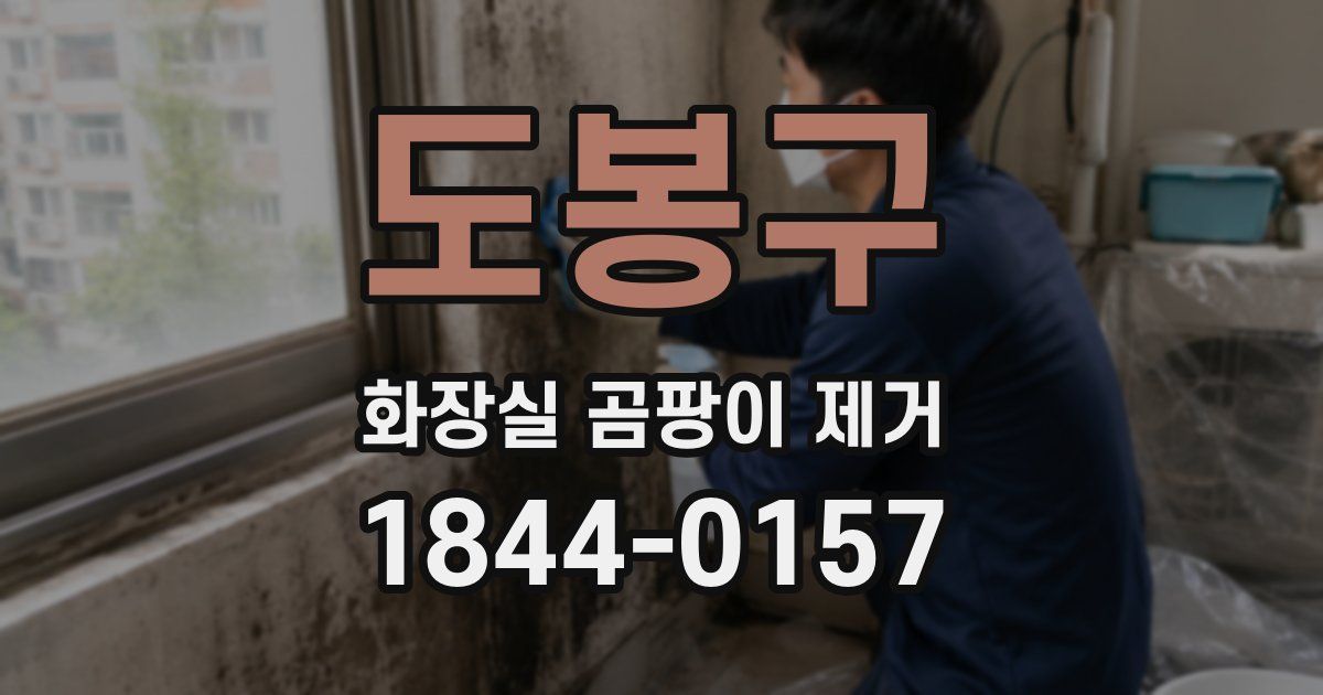 도봉구 화장실 곰팡이 제거