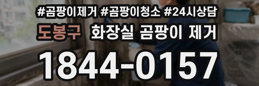 도봉구 화장실 곰팡이 제거