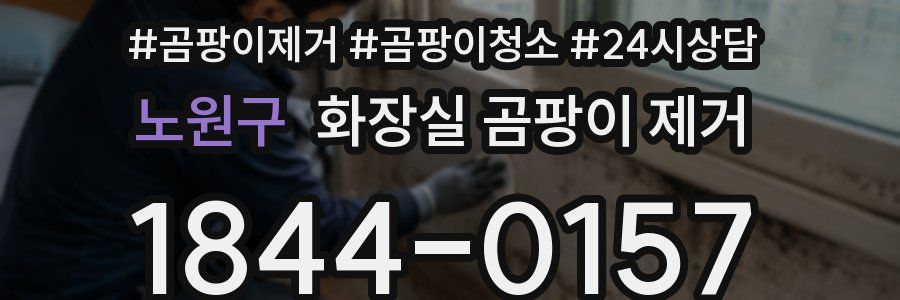 노원구 화장실 곰팡이 제거