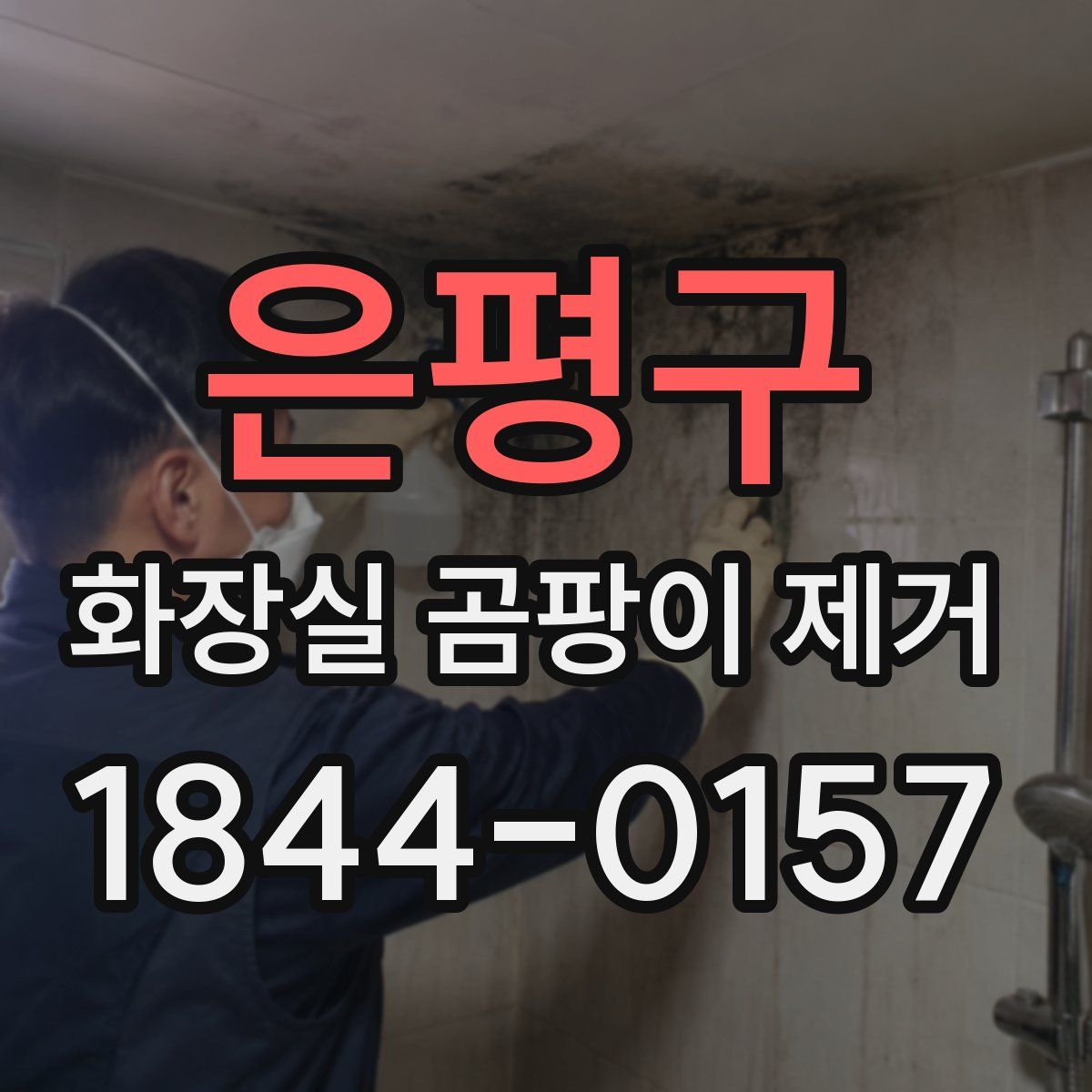 은평구 화장실 곰팡이 제거