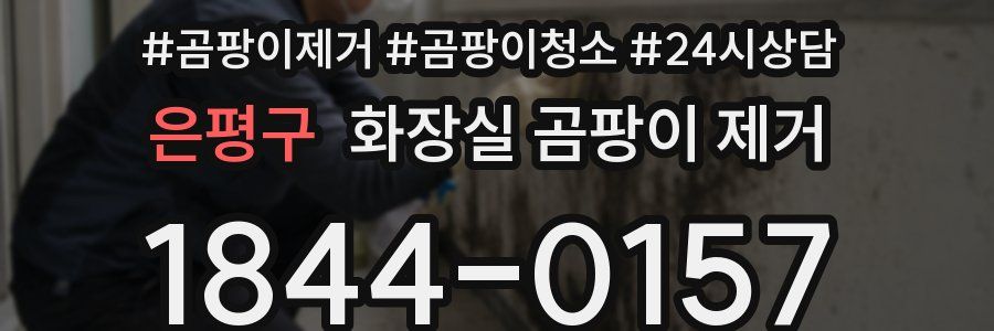 은평구 화장실 곰팡이 제거