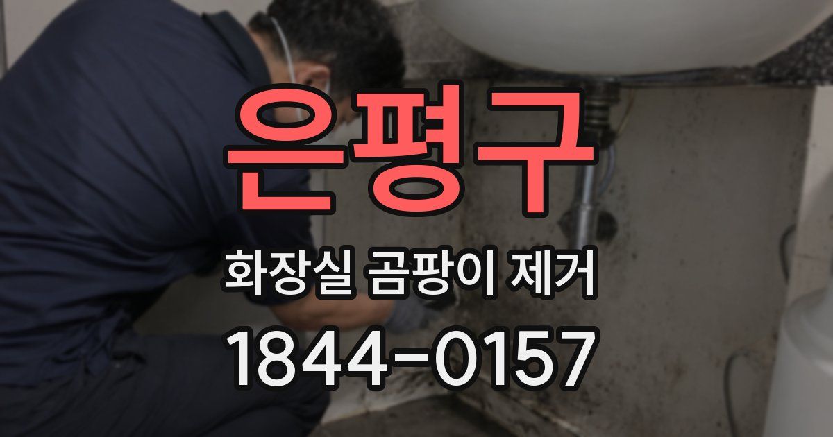은평구 화장실 곰팡이 제거
