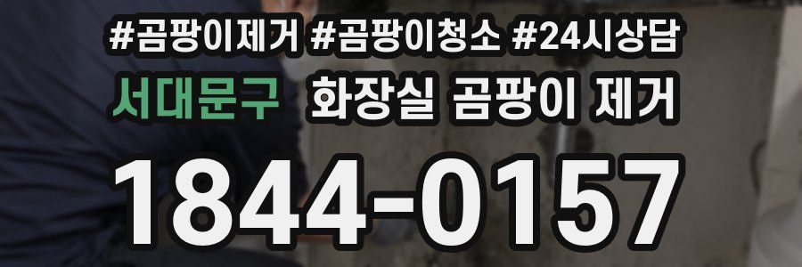 서대문구 화장실 곰팡이 제거