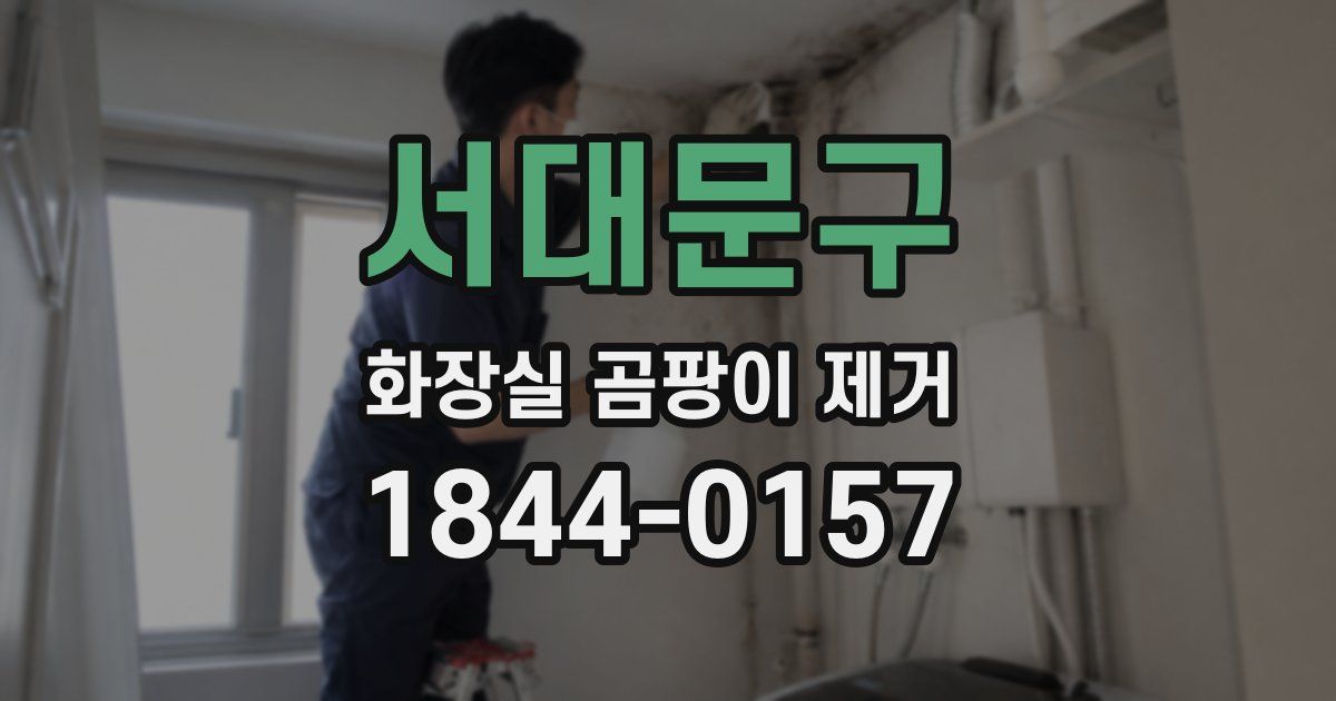 서대문구 화장실 곰팡이 제거