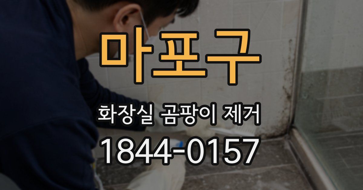 마포구 화장실 곰팡이 제거