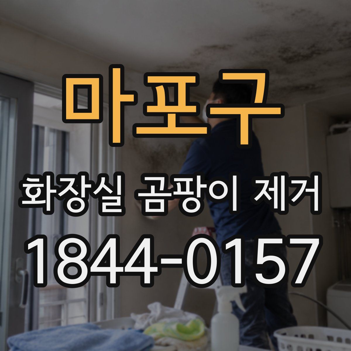 마포구 화장실 곰팡이 제거