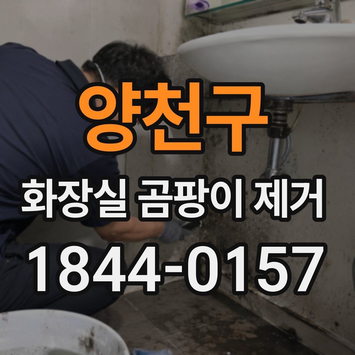 양천구 화장실 곰팡이 제거 환기 부족이 남긴 흔적을 구분하는 방법