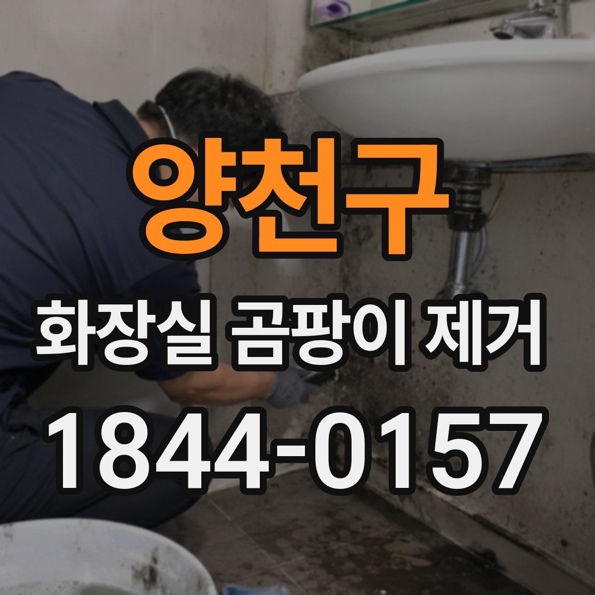 양천구 화장실 곰팡이 제거