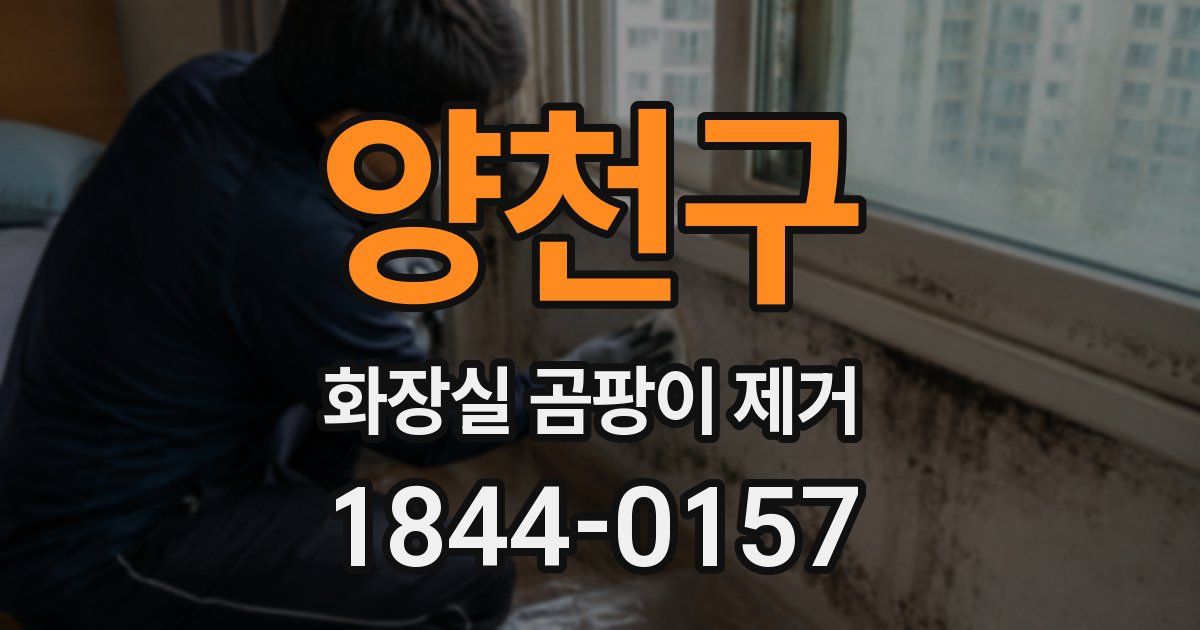 양천구 화장실 곰팡이 제거