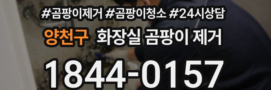 양천구 화장실 곰팡이 제거