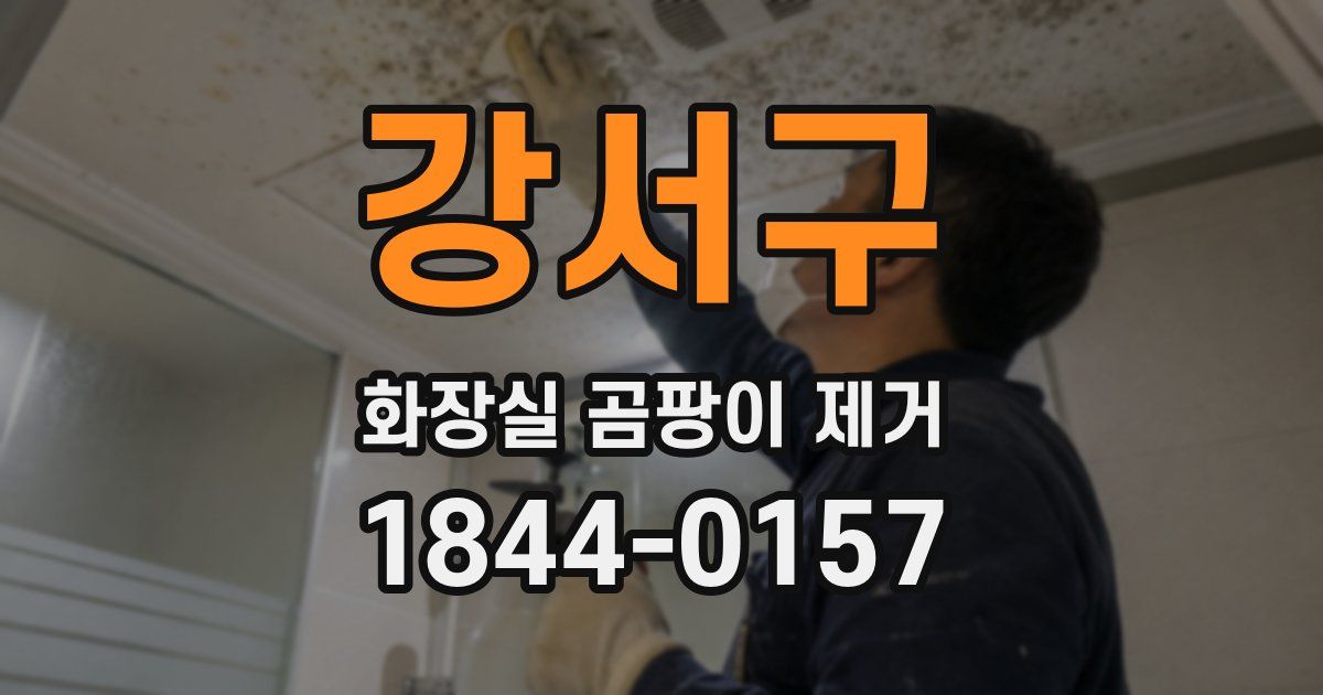 강서구 화장실 곰팡이 제거