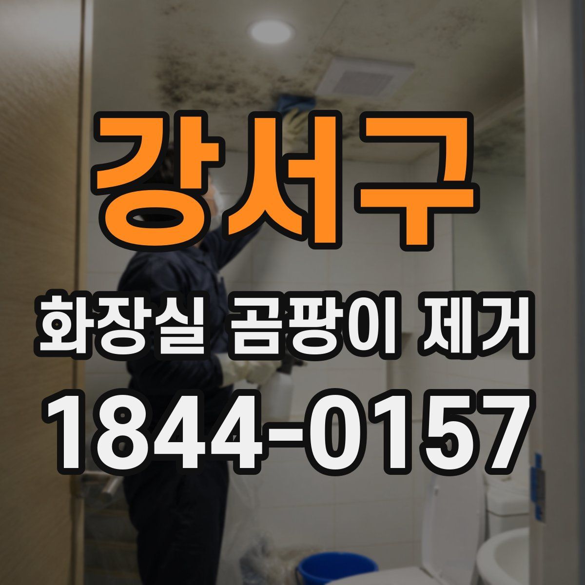 강서구 화장실 곰팡이 제거