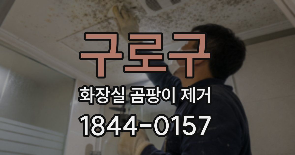구로구 화장실 곰팡이 제거
